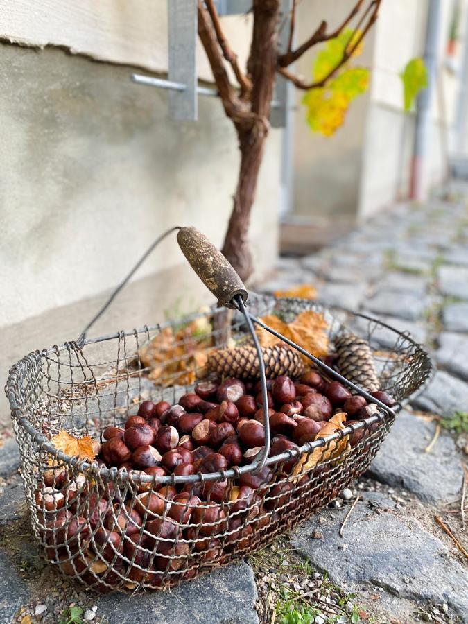 Appartamento Weinquartier Naumburg Naumburg  Esterno foto