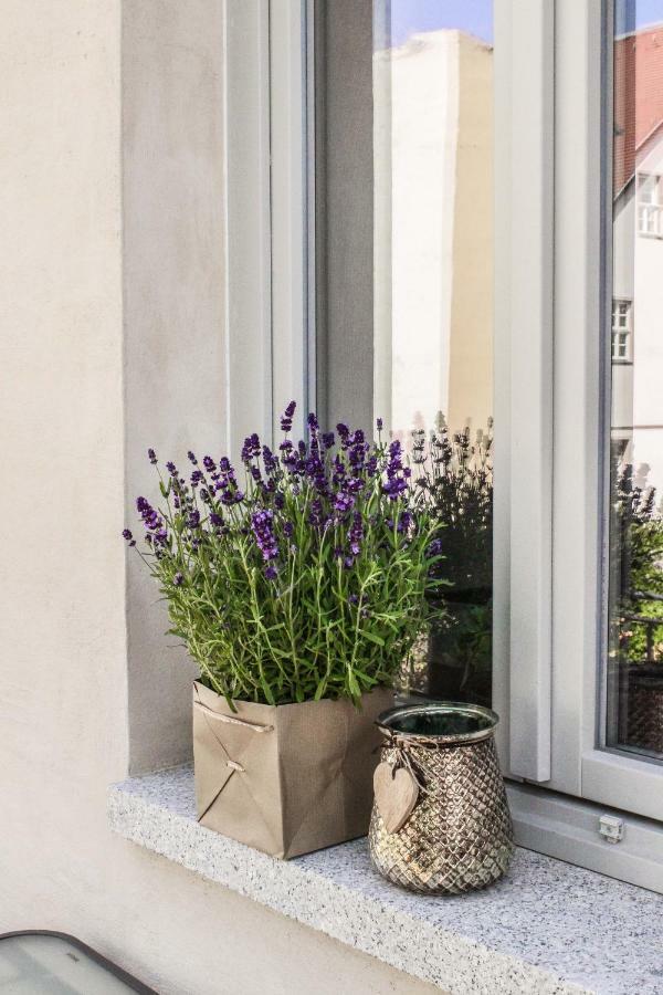 Appartamento Weinquartier Naumburg Naumburg  Esterno foto